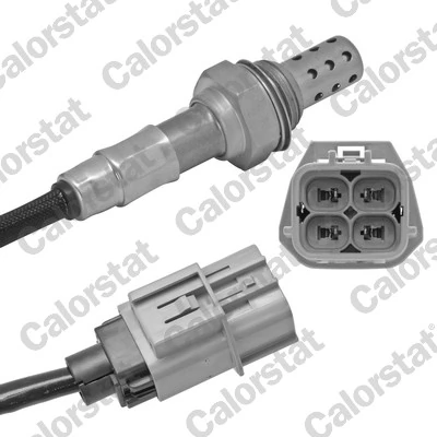 Oxygen Sensor